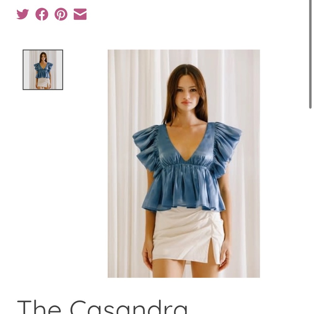 NWT Blue Ruffled Women's Top